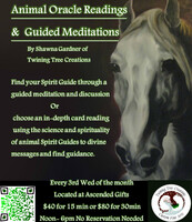 In-person Oracle Card Readings and Guided Meditations Open