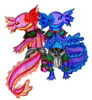 D&D Xolopilti 5e
