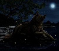 Waiting to guide your Soul