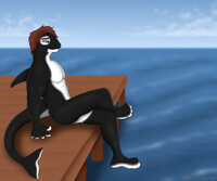Orca's Perspective (Unclothed)