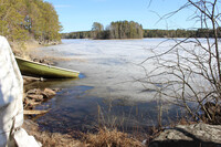 Dog water's boat spot II