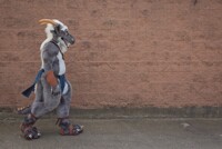 Ohhhh... another wall!