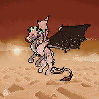 Flying high over the dunes!