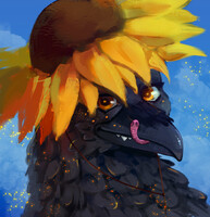Silly Rvusaa
