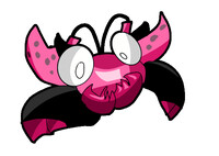Anttelladie (redesign)