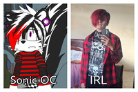 Sonic OC vs IRL (They look accurate)