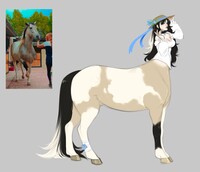 Centaur Nansy