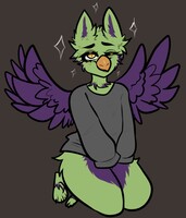 Shy Jacky