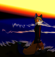 A walk on the Beach 2