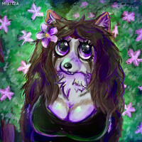 tanuki in the flowers