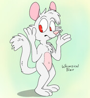 Unnamed albino rodent