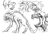 more tf