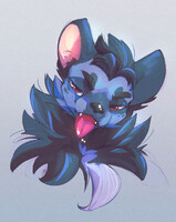 Fabo closeup Catto!