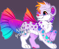 SnowLeopard Betta Fish (OPEN)