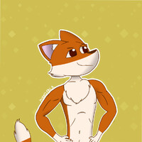 Buff fox