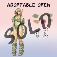 [ADOPTABLE CLOSED] Golden Retriever