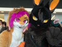 Anthrocon 2024 - Kyoho, Nikayze