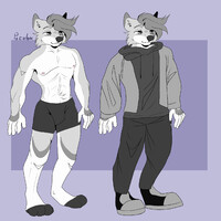 Ray ref sheet