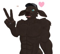 Cute furry bull