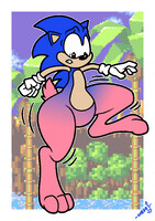 Sonic with bunny legs.