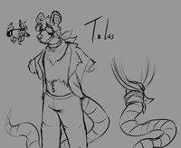 Talus