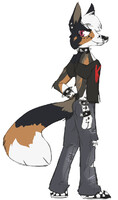 cross fox adoptable