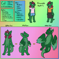 Cel Refsheet 2025