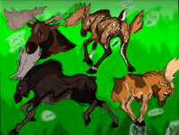 Moose Doodles 1