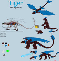 Tiger, Night Fury