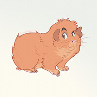 guinea pig!Júlio