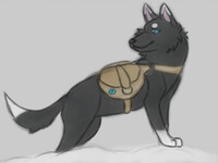 Tundra (Skyrim Companion OC)