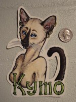 Kymo Badge