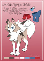 COMM: Martin Lodge Brisk