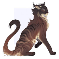 cat design