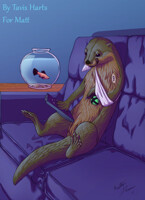 Injured otter