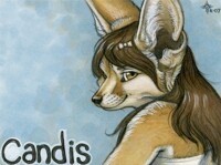 Candis Badge