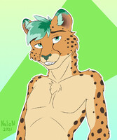 [Request] Mint Cheetah