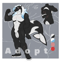 Orca adopt