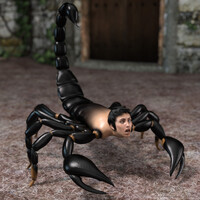 Scorpion