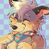 this is my dog, shark