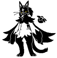 turned Bagel into a meowscarada