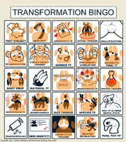 Meme | Transformation Bingo