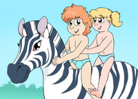 riding the zebra