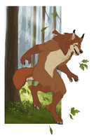 Enjoying a forest run