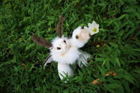 Shiro-Mofu (Silkworm Beastfolk)