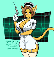 Zofia the nurse kitty [Aneta's twin sister]