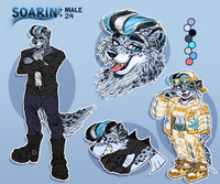 Sketch reference sheet commission