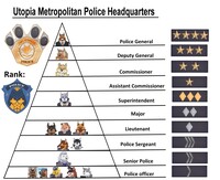 Police ranks