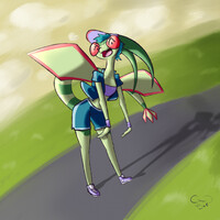Fly-going for a run