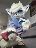 Gamer pup 🐾